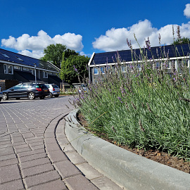 Trottoirband 13/15x25 bocht R=12 uitw