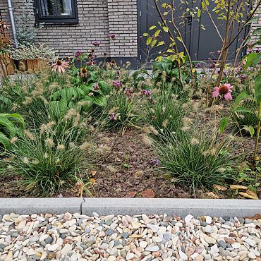 11000119 bet010515 3