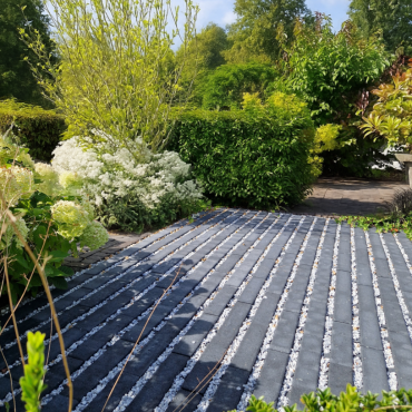 11008767 long0307310wp 3