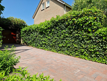 Antieke trommel longstone 7 cm oud emmen