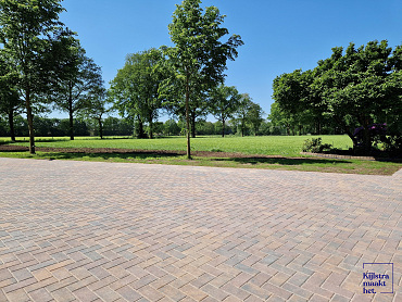 Betonstraatsteen 6 cm oud bussum komo