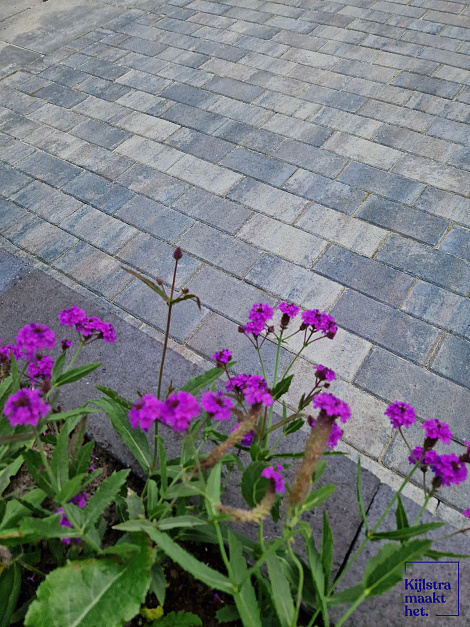 Patio betonstraatsteen 6 cm ocean TOP mini facet komo