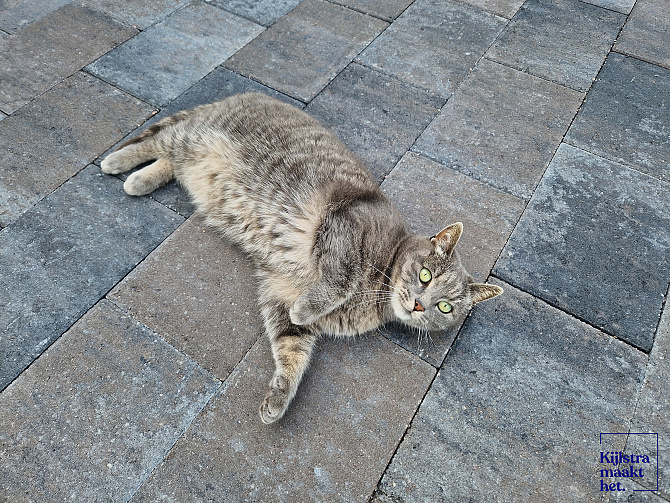 Straksteen 20x30x5 cm oud drachten