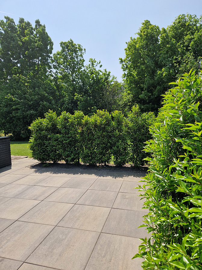 Patio square 60x60x4 cm grigio camello