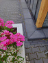 Traptrede 100x35x15 cm antraciet met facet