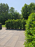 Patio square 60x60x4 cm grigio camello