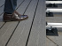 Linup aluminium profiel 30 mm, lengte 2,4 m