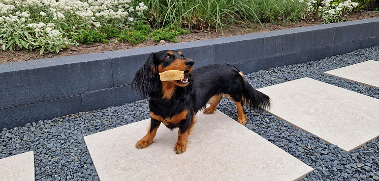 Keramische tegels: stijlvol & onderhoudsvriendelijk