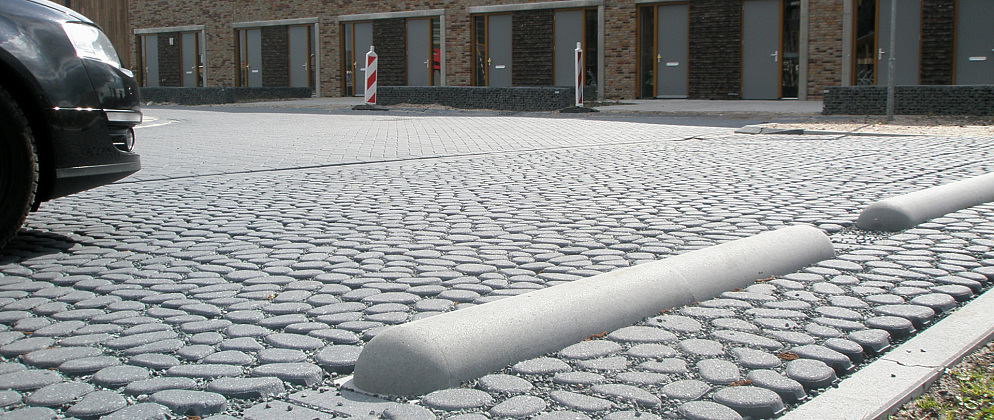 p4230384