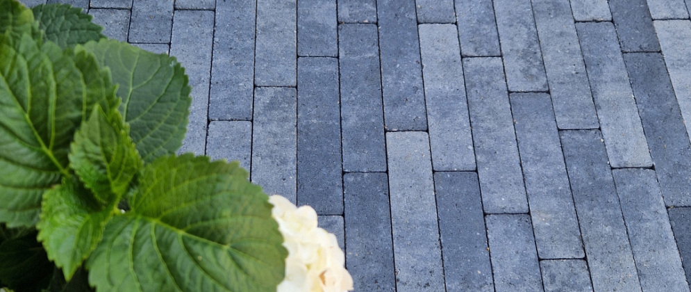 11008231 bdfxl5508 3