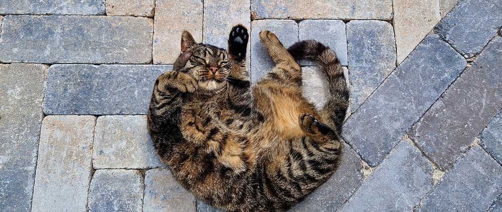 11008260 atl7907310 4