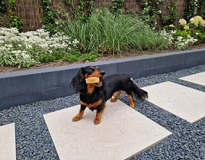 SolidSquare Keramisch